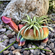 Charger l&#39;image dans la galerie, Petite jardinière tortue escargot