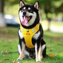 Charger l&#39;image dans la galerie, Sangle de poitrine réfléchissante pour chien